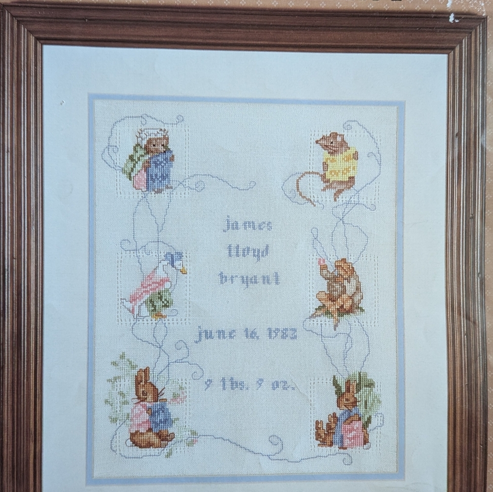 Beatrix Potter Peter Rabbit Birth Sampler 1 Cross Stitch Pattern - Picture 2 of 2